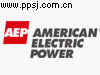 美国电力